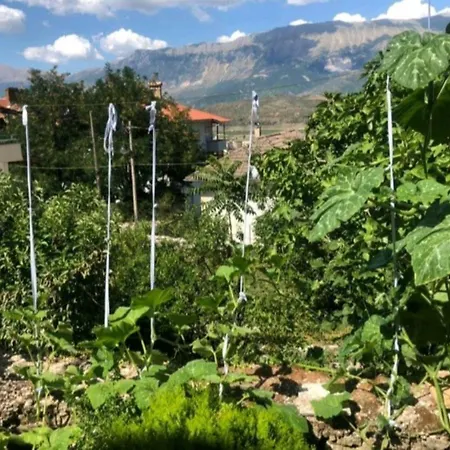 Miziriguesthouse Maison d'hôtes 3*