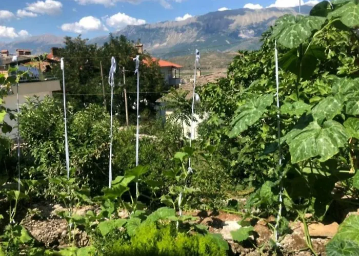 Miziriguesthouse Πανσιόν 3*